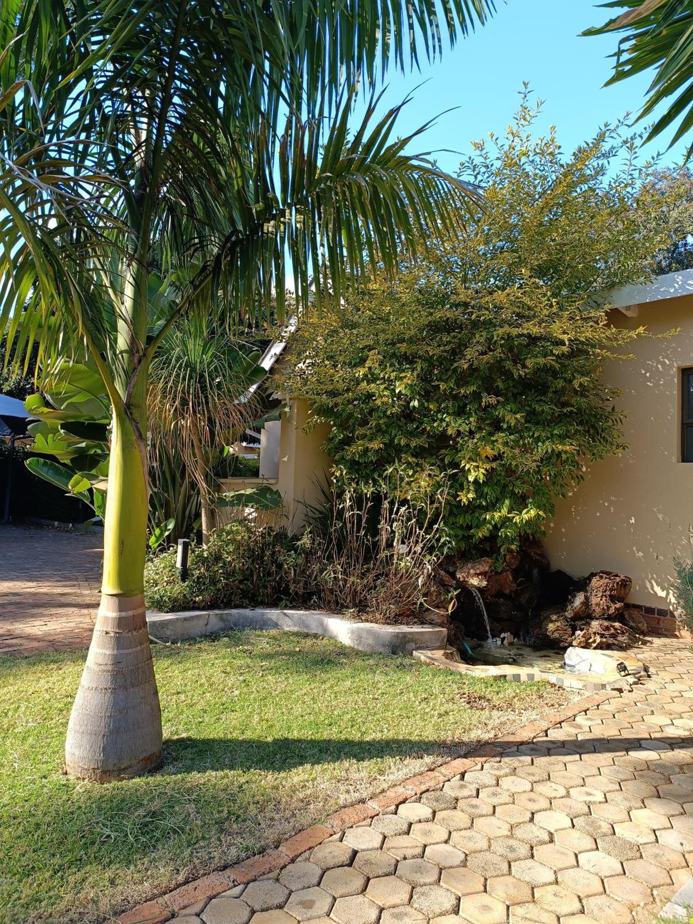 Photo 46