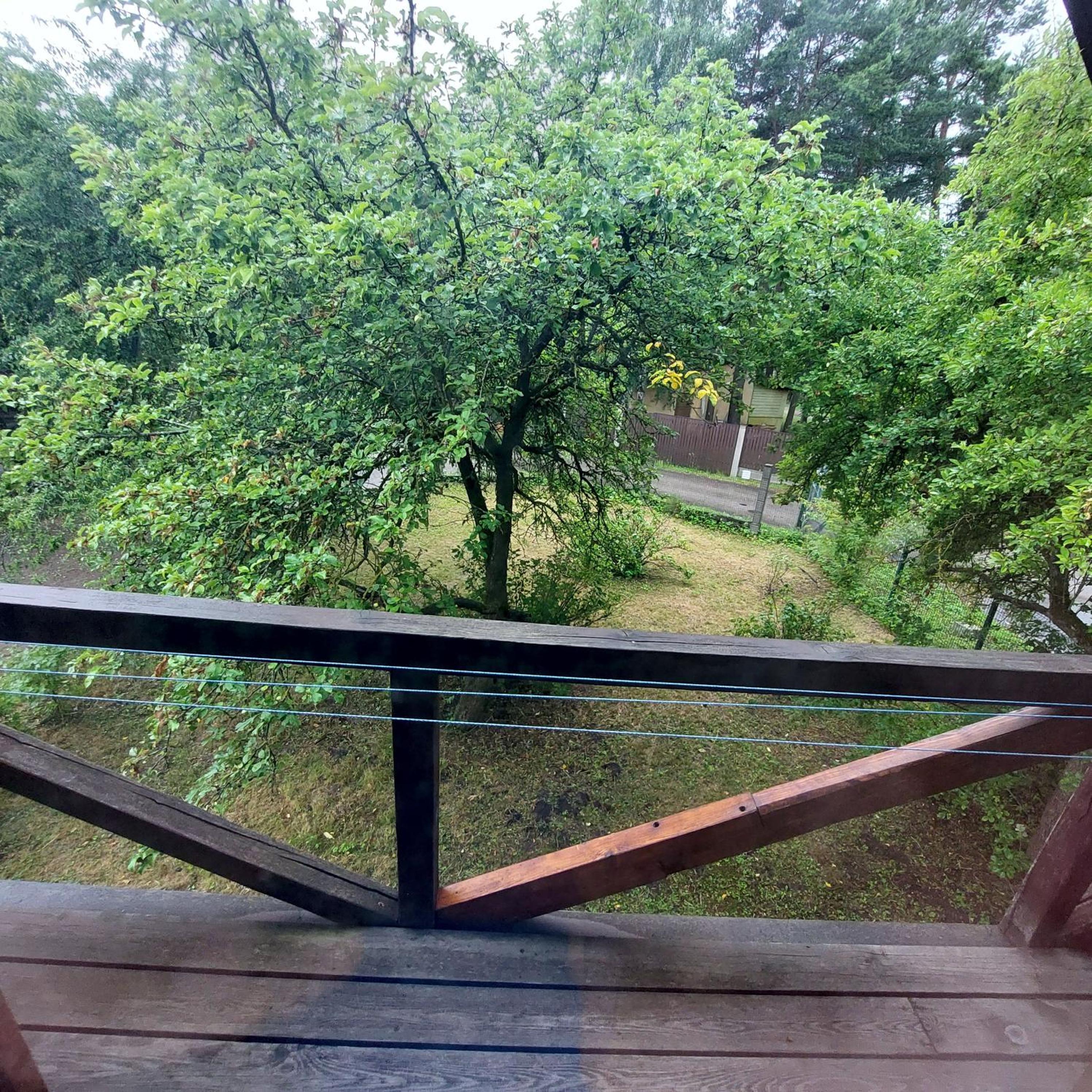 Ceļinieks