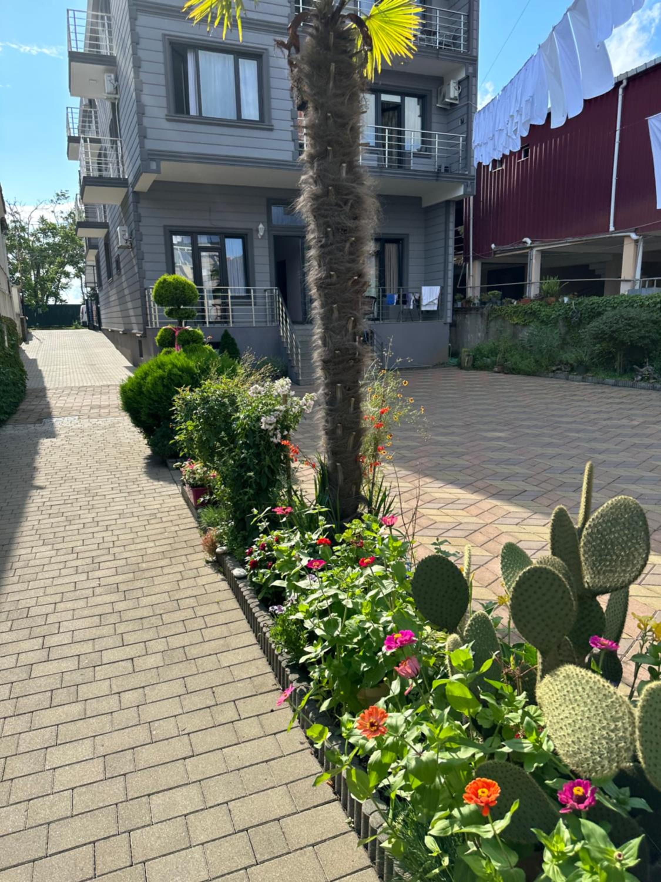 Nica