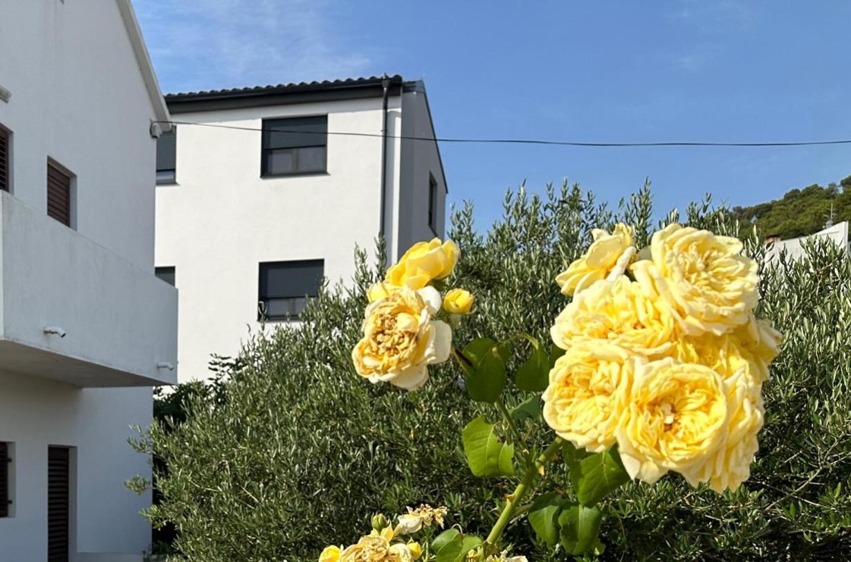 Apartman Mrgic