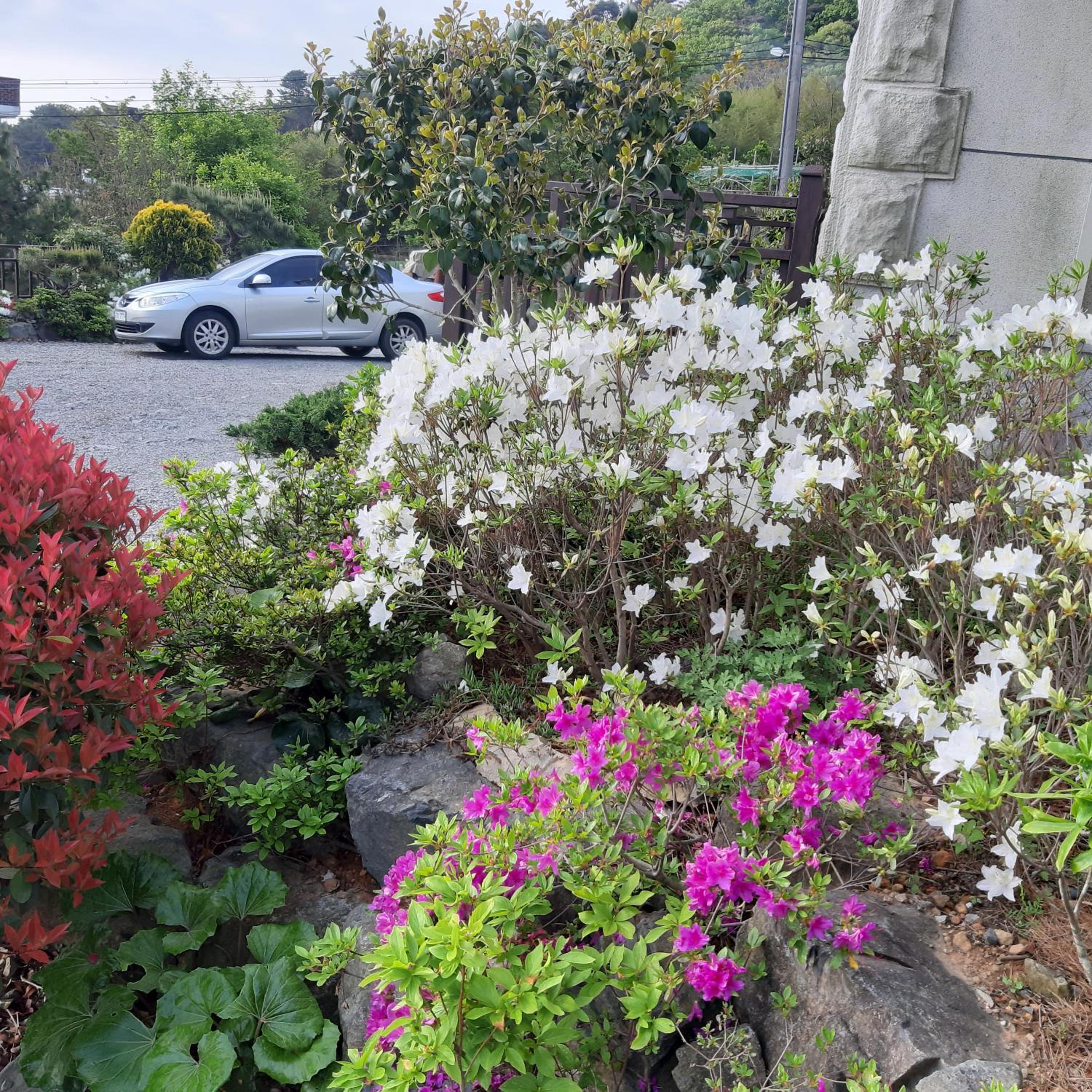 Photo 36