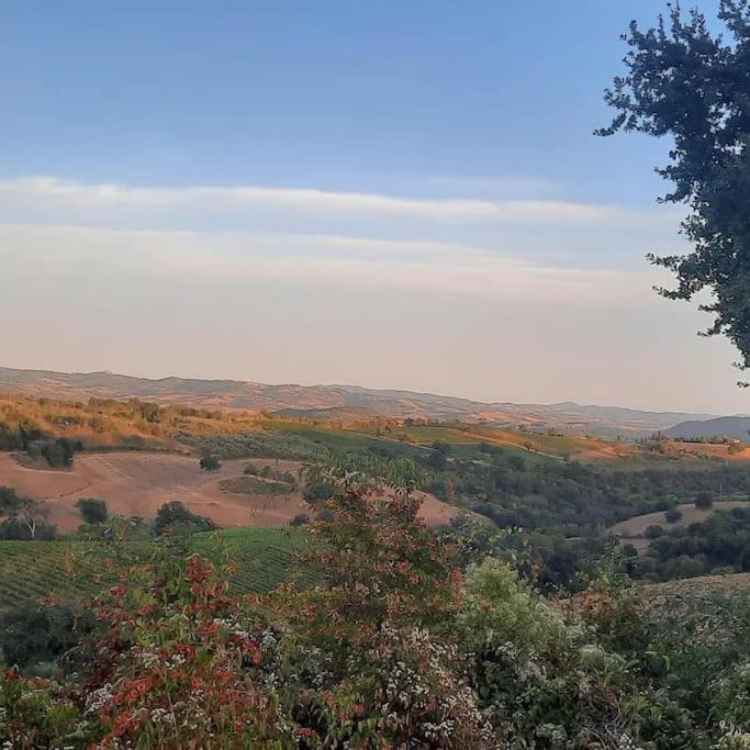 Agriturismo Salaiolo 176 view 2