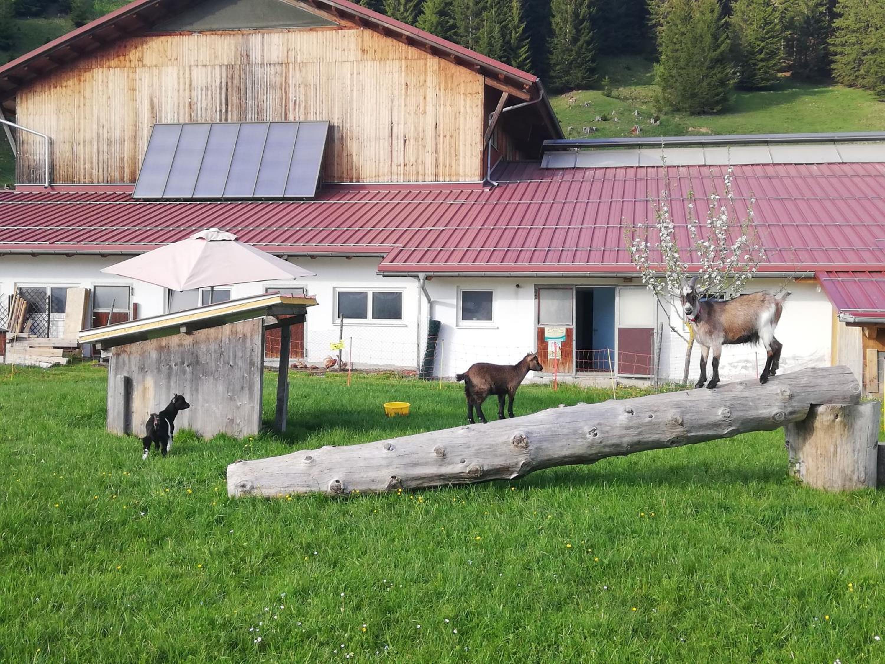 Lenzerhof
