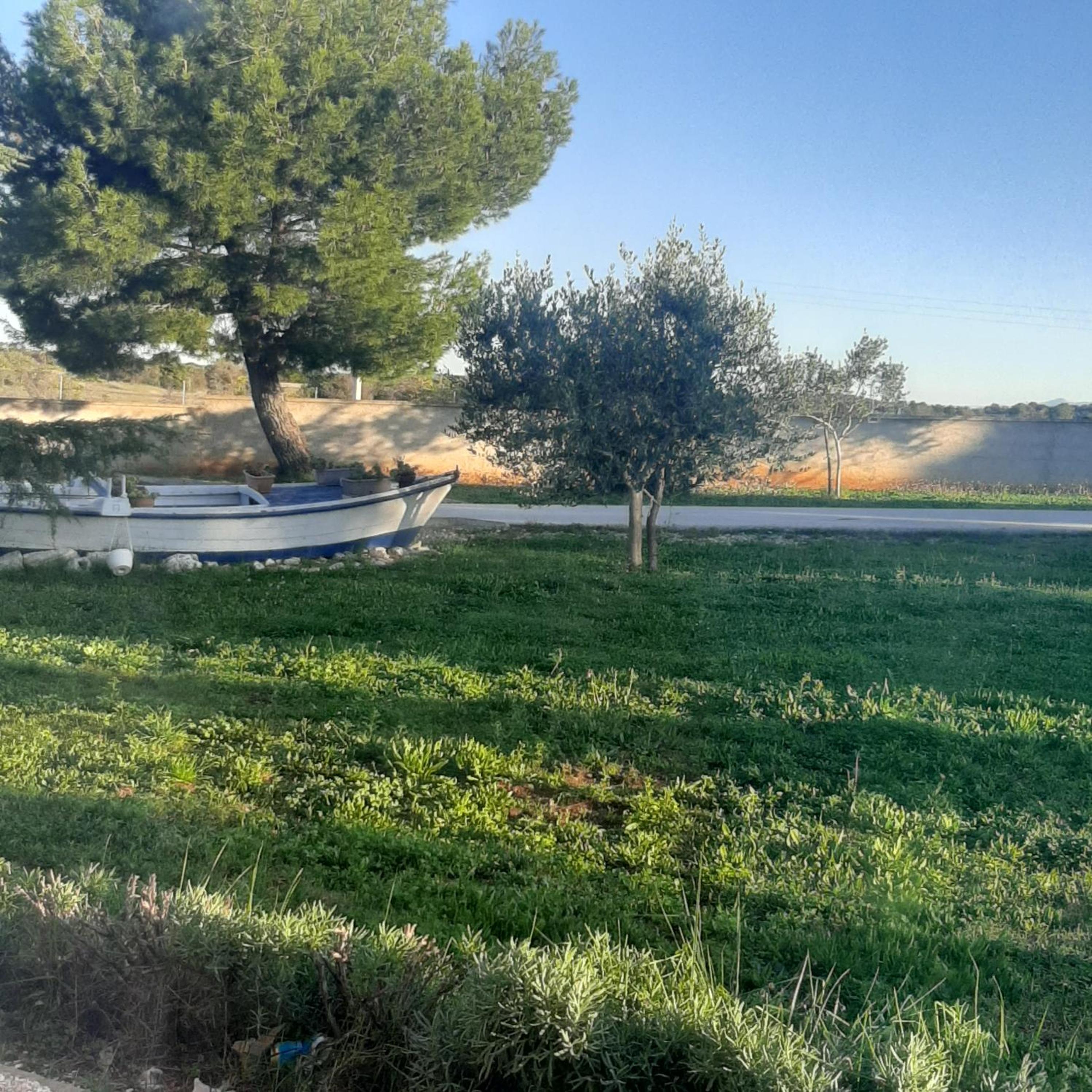 Photo 43