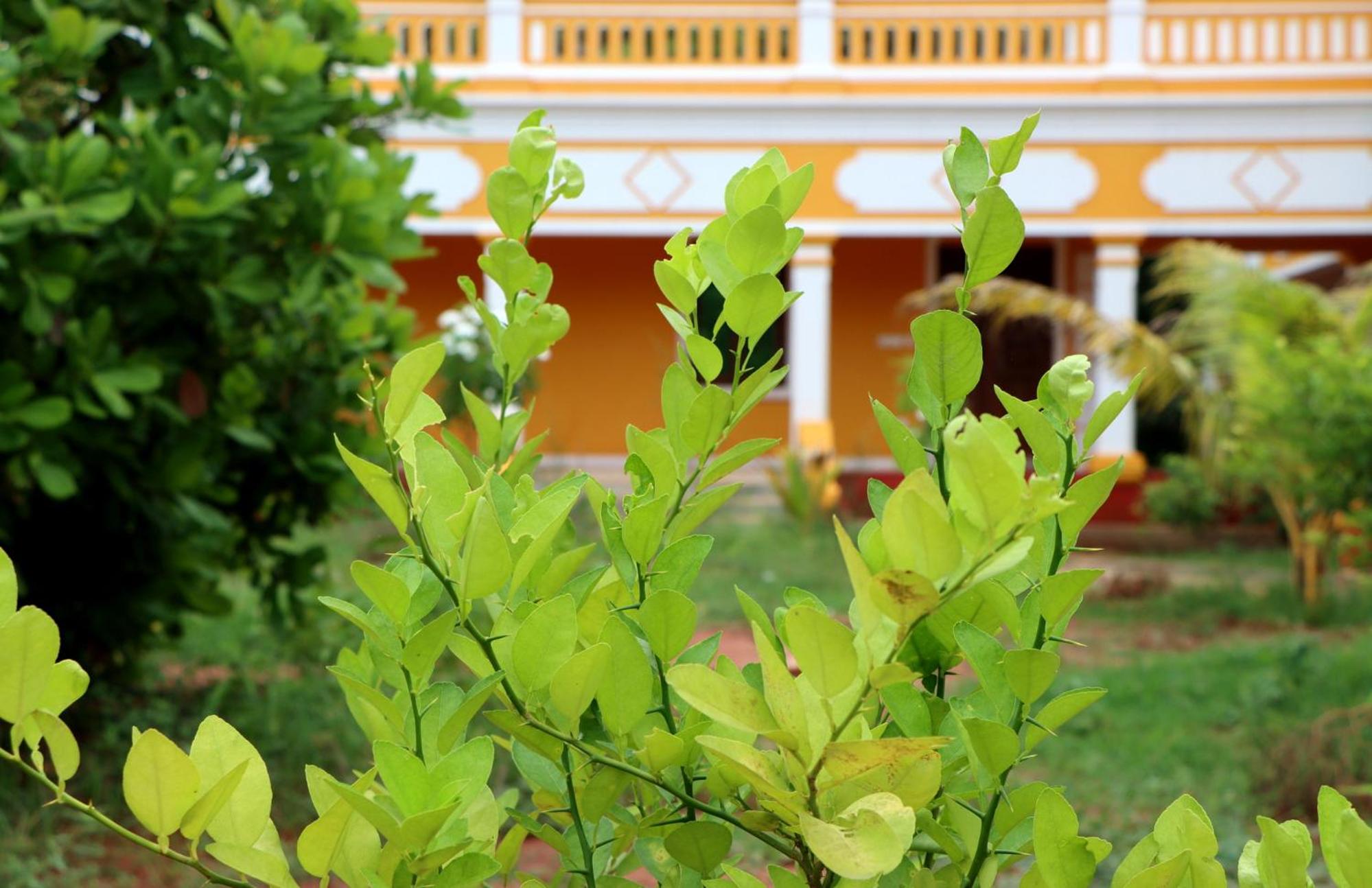 Auro Sunrise Resort Auroville