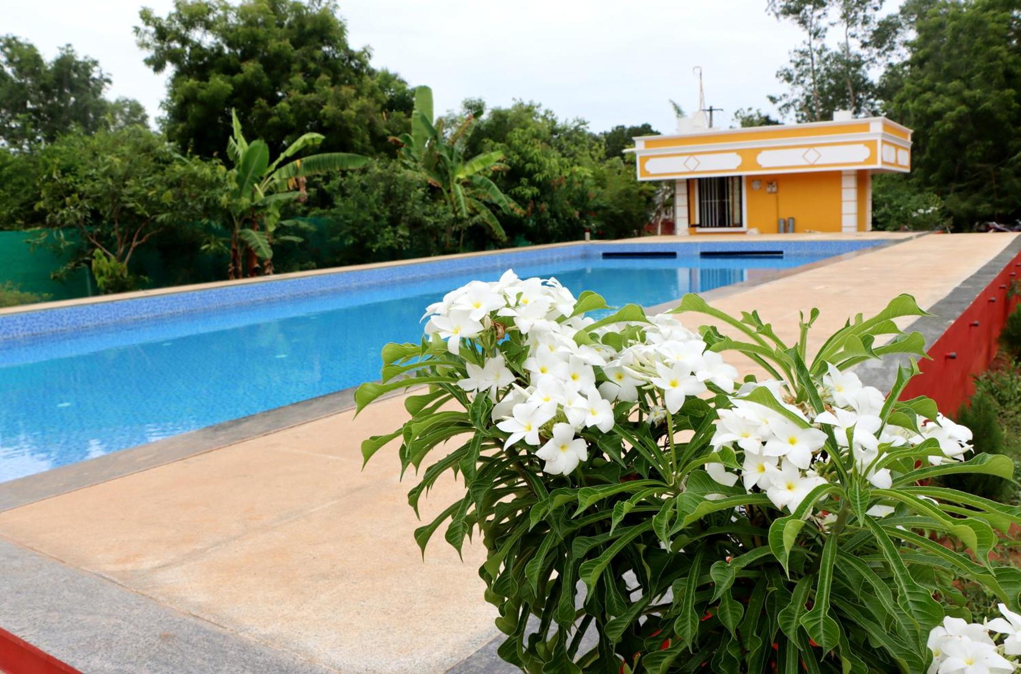 Auro Sunrise Resort Auroville