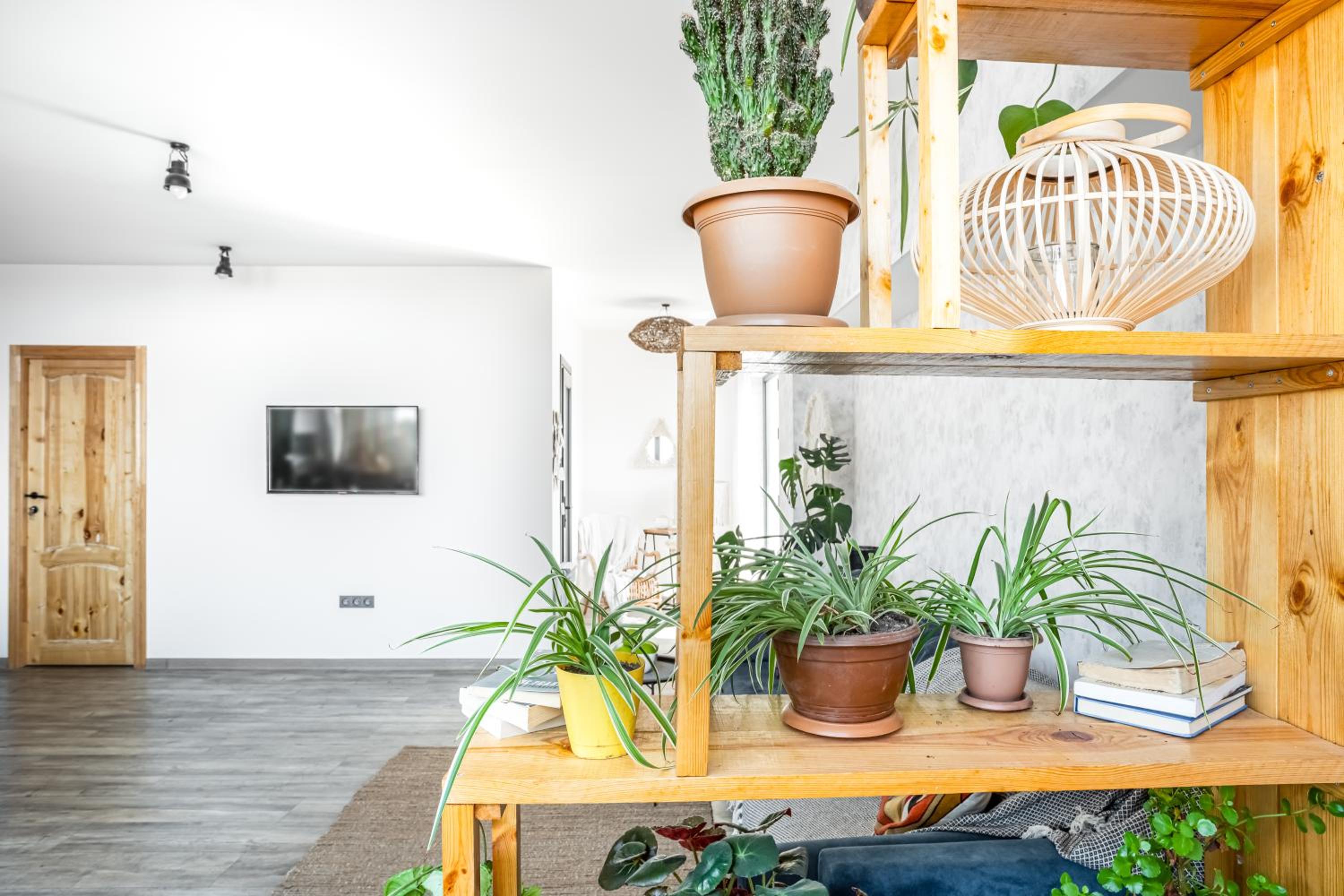 hotelise I Boheme Apartment