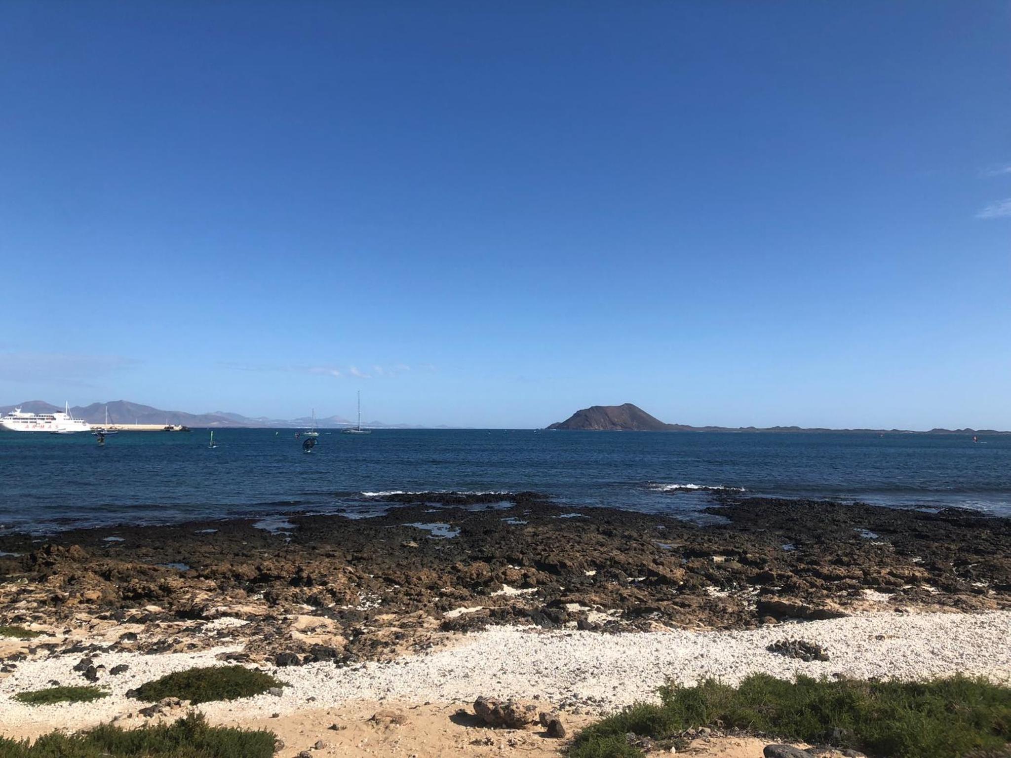 Aulaga