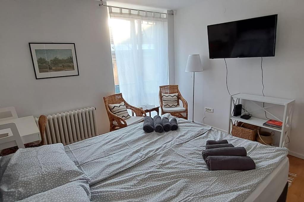 Cozy at prime location above Ferhadija Street