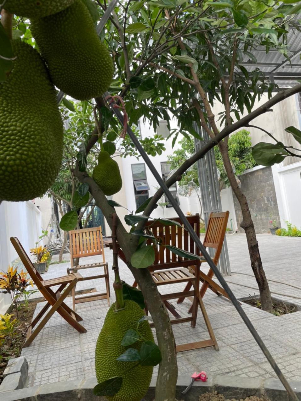 Hana's Homestay Hue