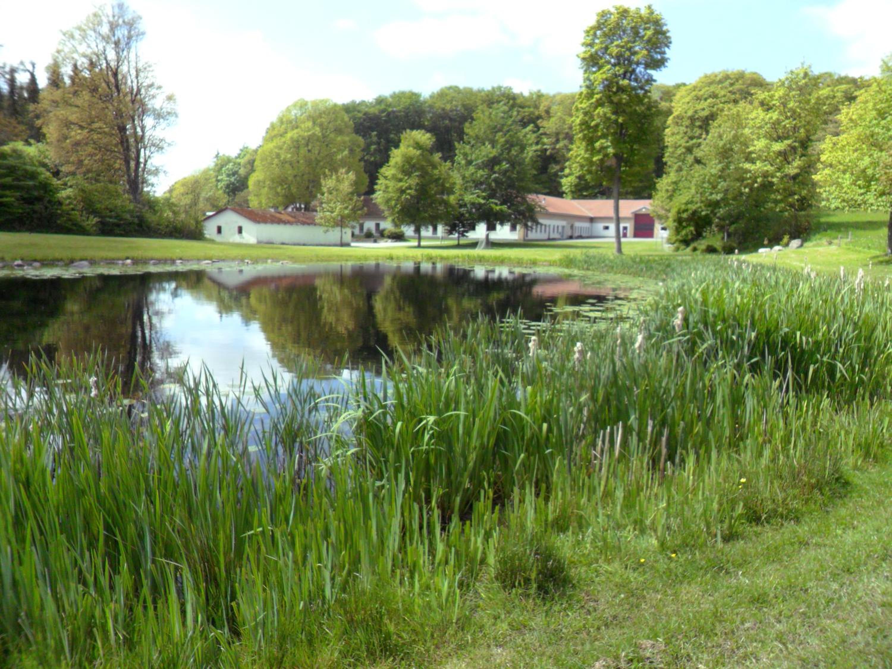 Thise Ladegaard
