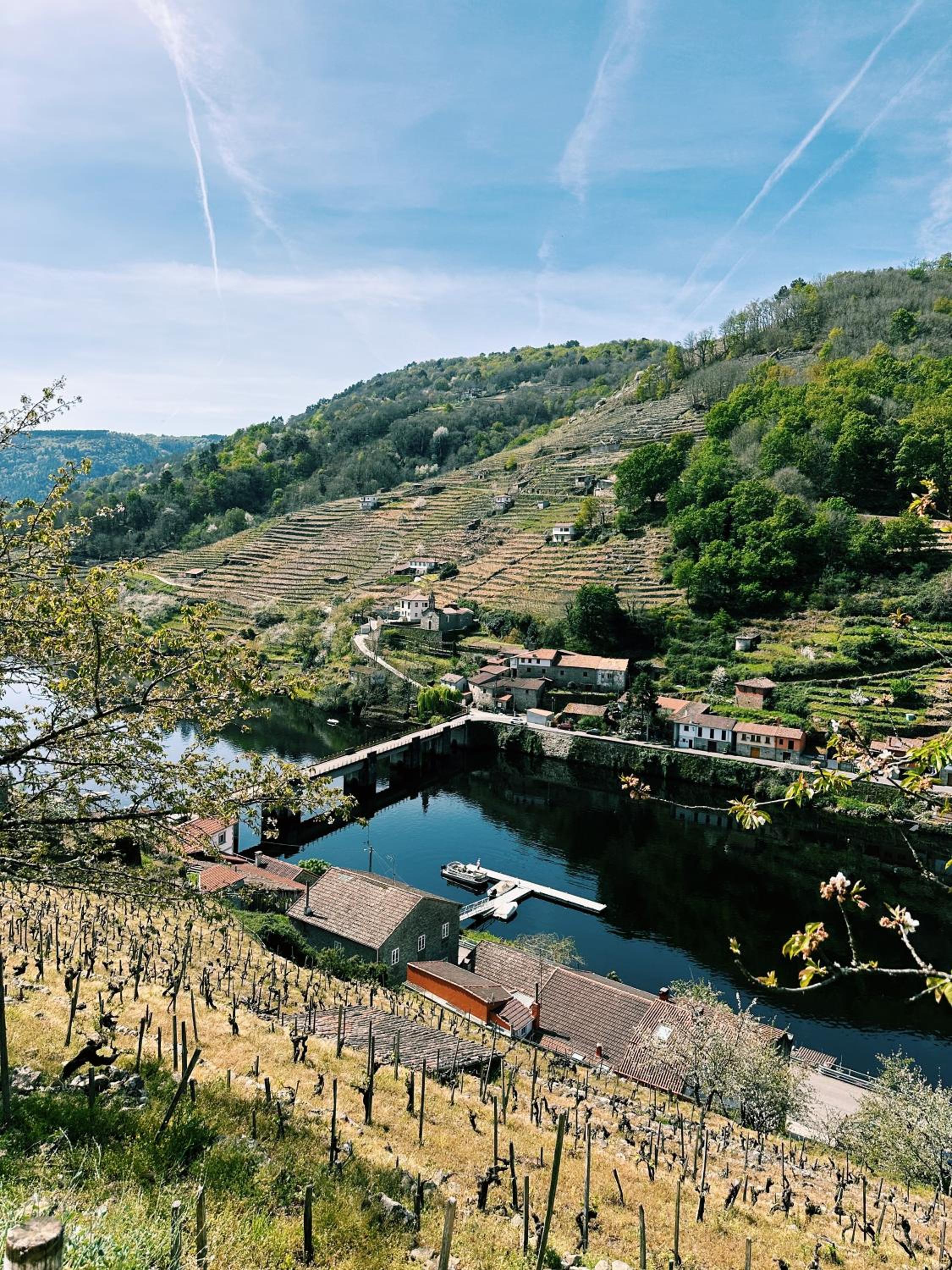 Amodiño do Camiño