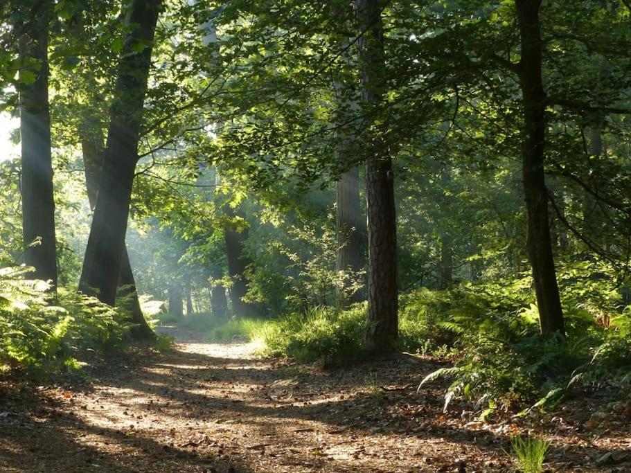 Natuurhuisje Oisterwijk Bedstee