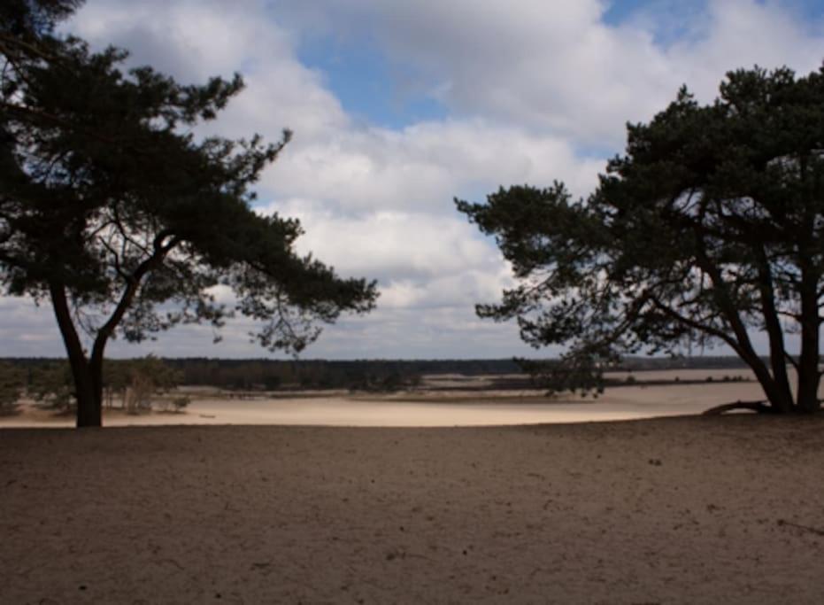 Natuurhuisje Oisterwijk Bedstee