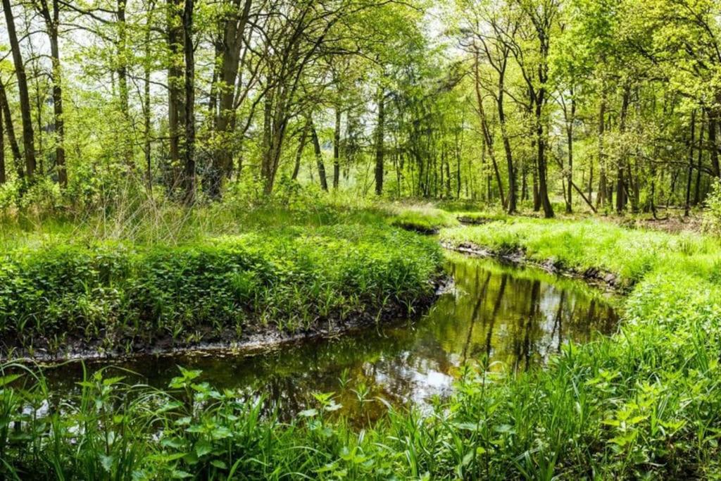 Natuurhuisje Oisterwijk Bedstee
