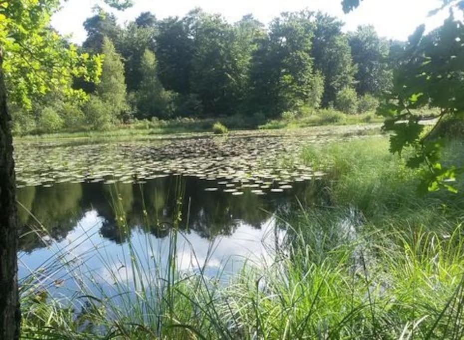 Natuurhuisje Oisterwijk Bedstee