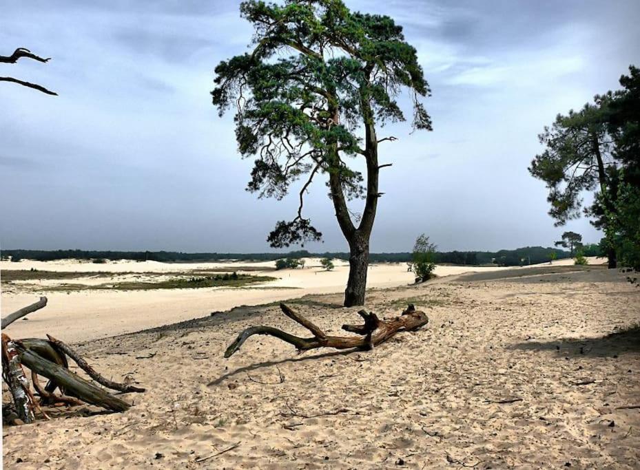 Natuurhuisje Oisterwijk Bedstee