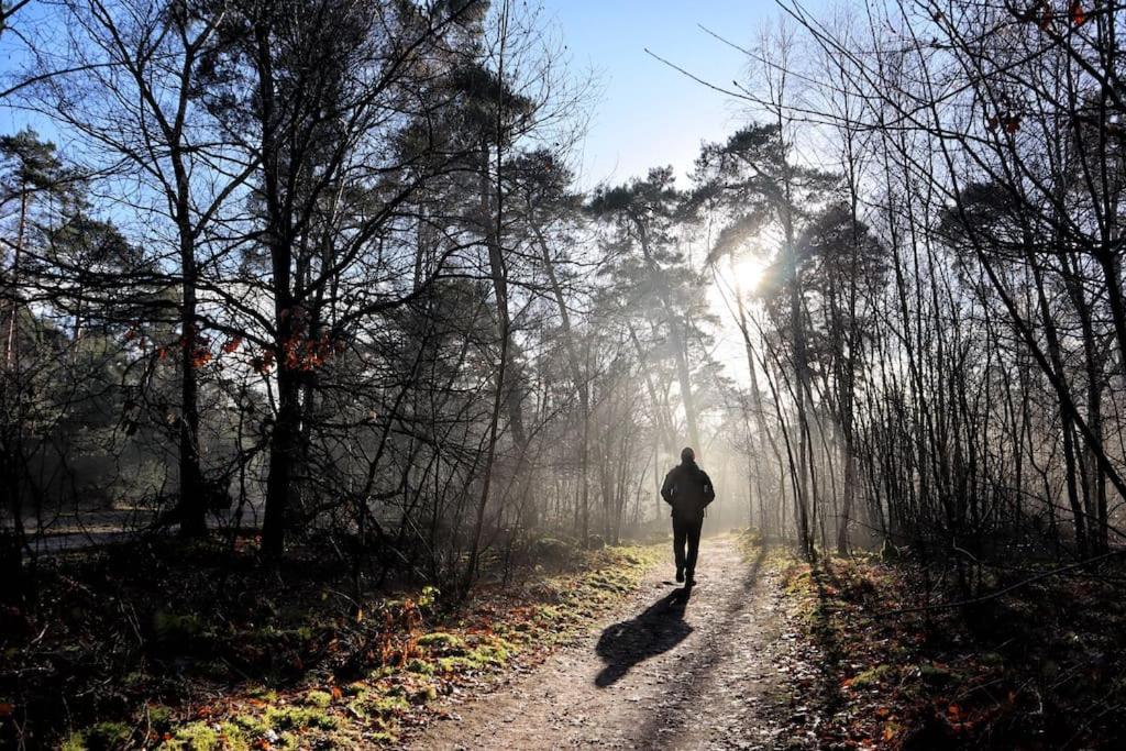 Natuurhuisje Oisterwijk Bedstee
