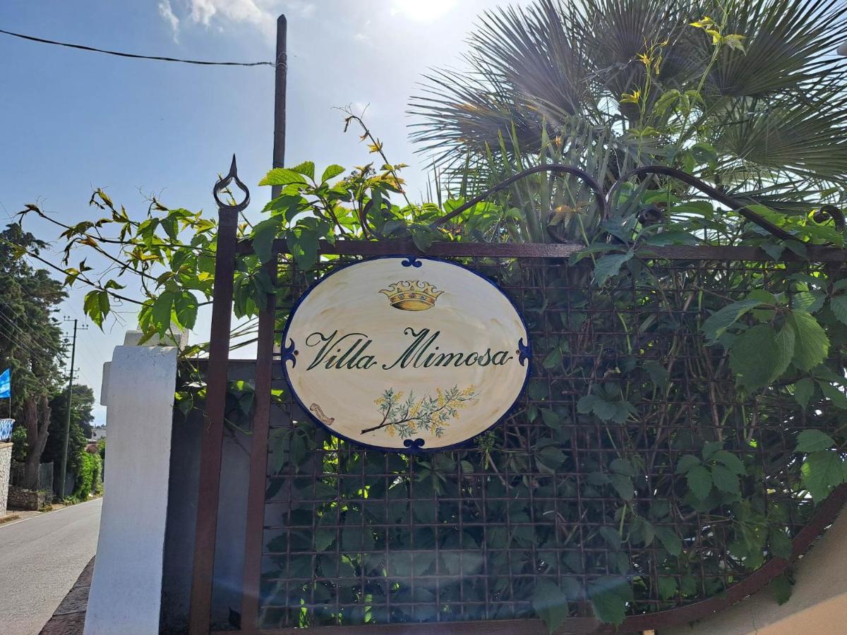 Villa Mimosa