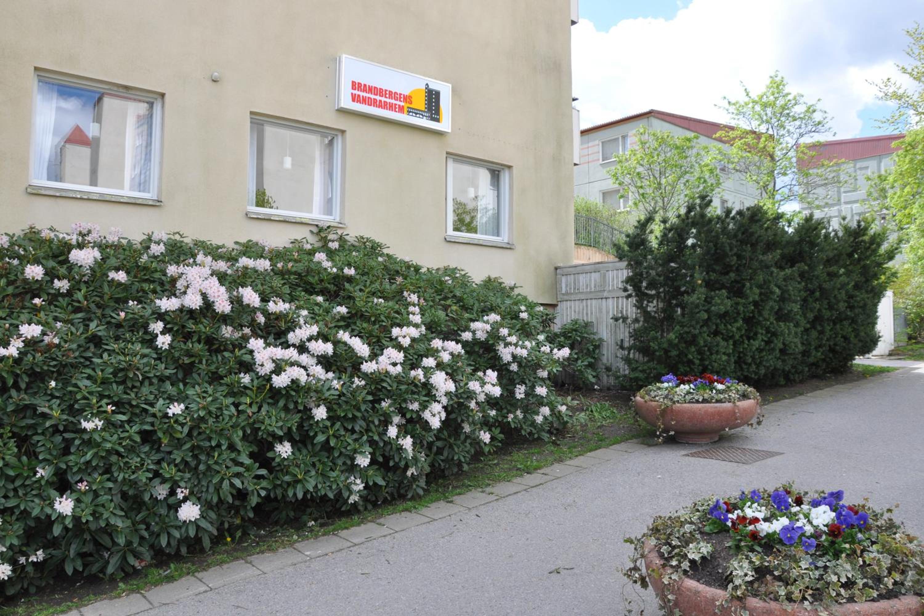 Photo 15