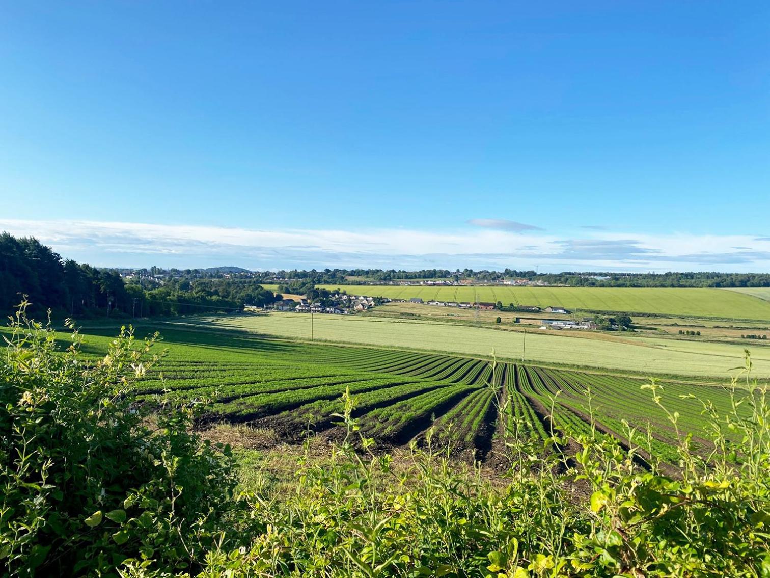 Castlehill