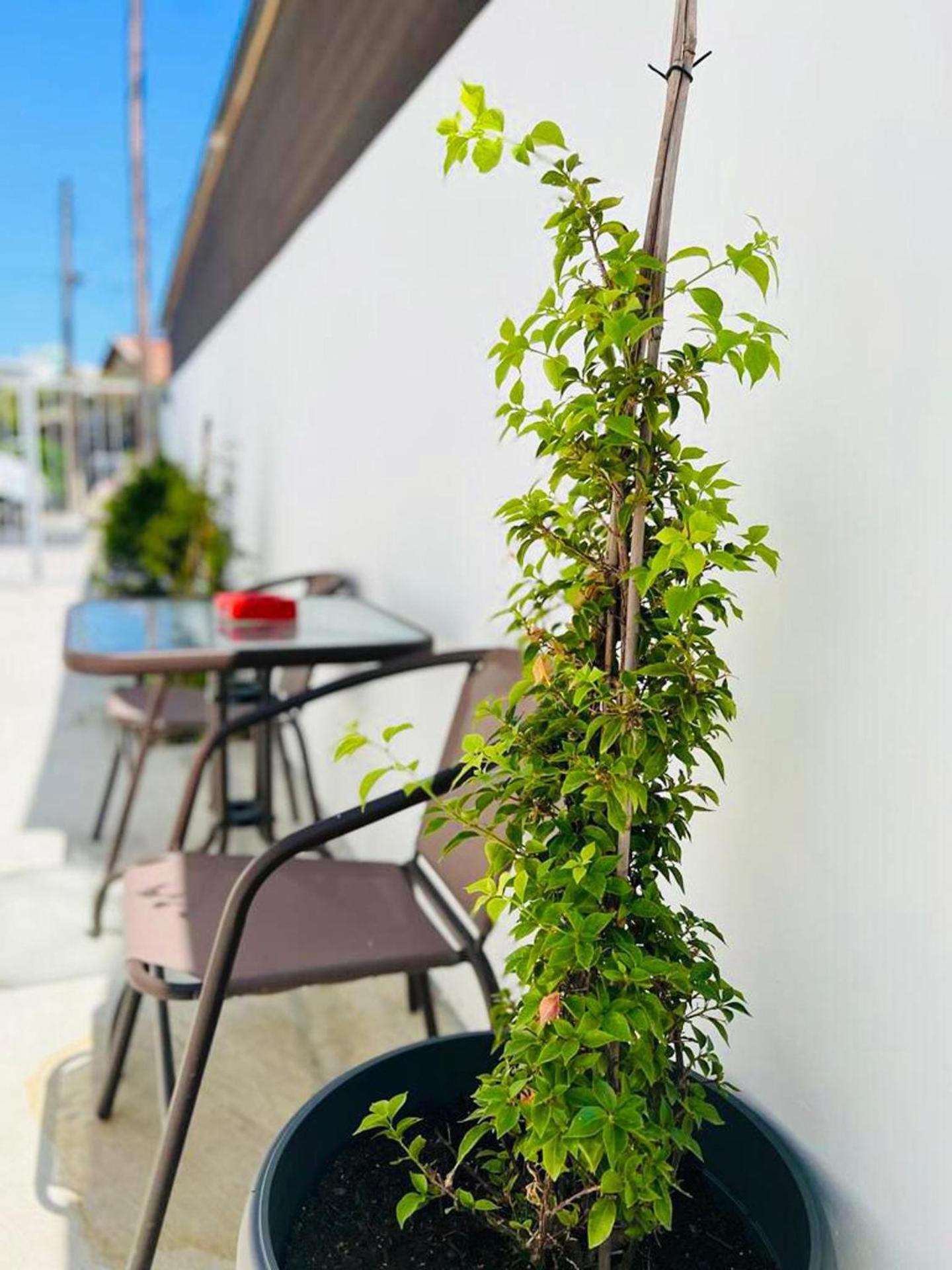 Larnaca - Studio - Sleeps 4 - Garden - Parking
