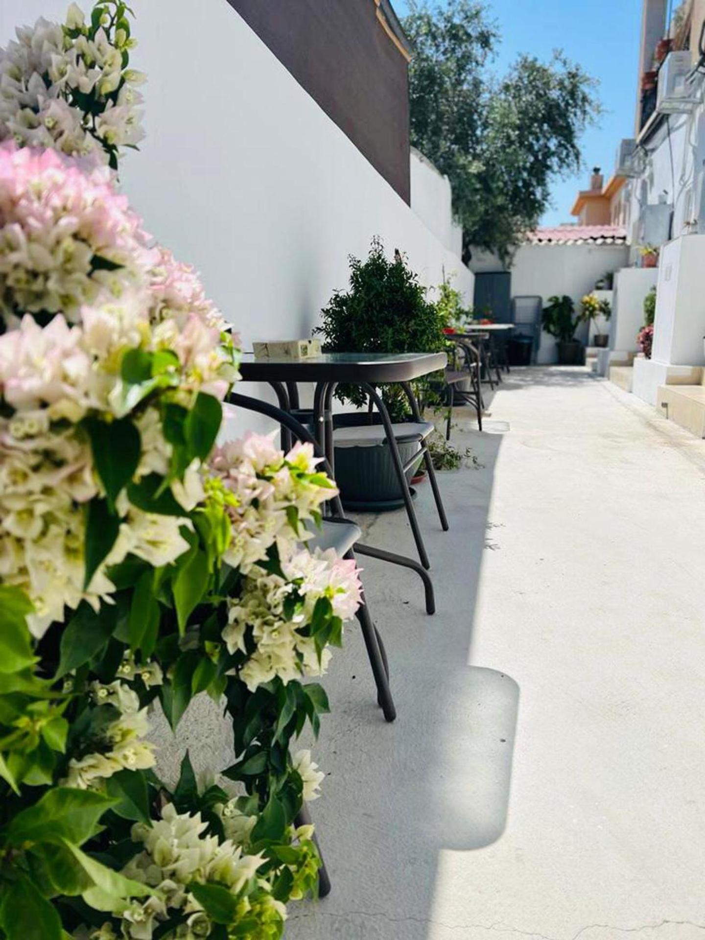 Larnaca - Studio - Sleeps 4 - Garden - Parking
