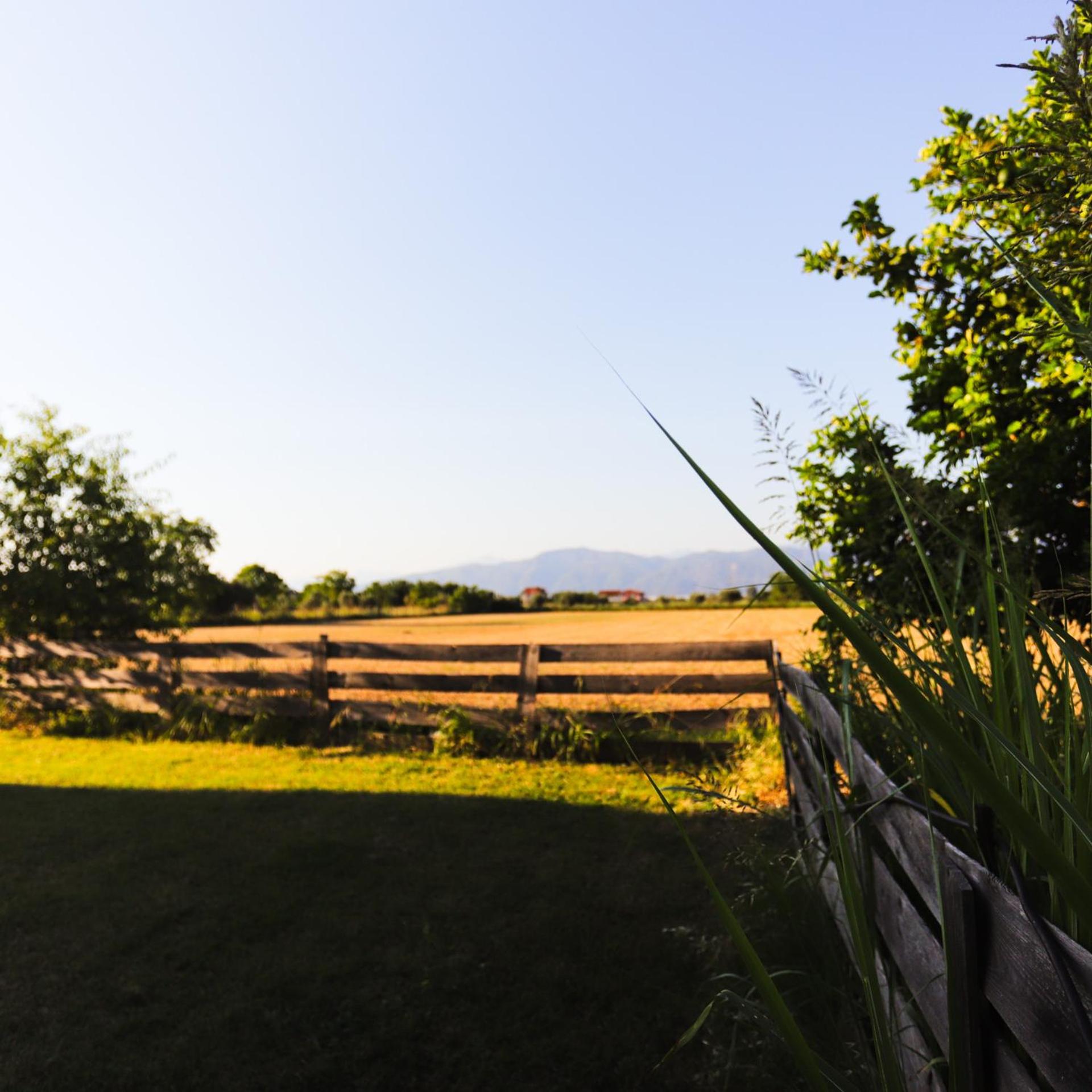 Out of the Green Farmhouse