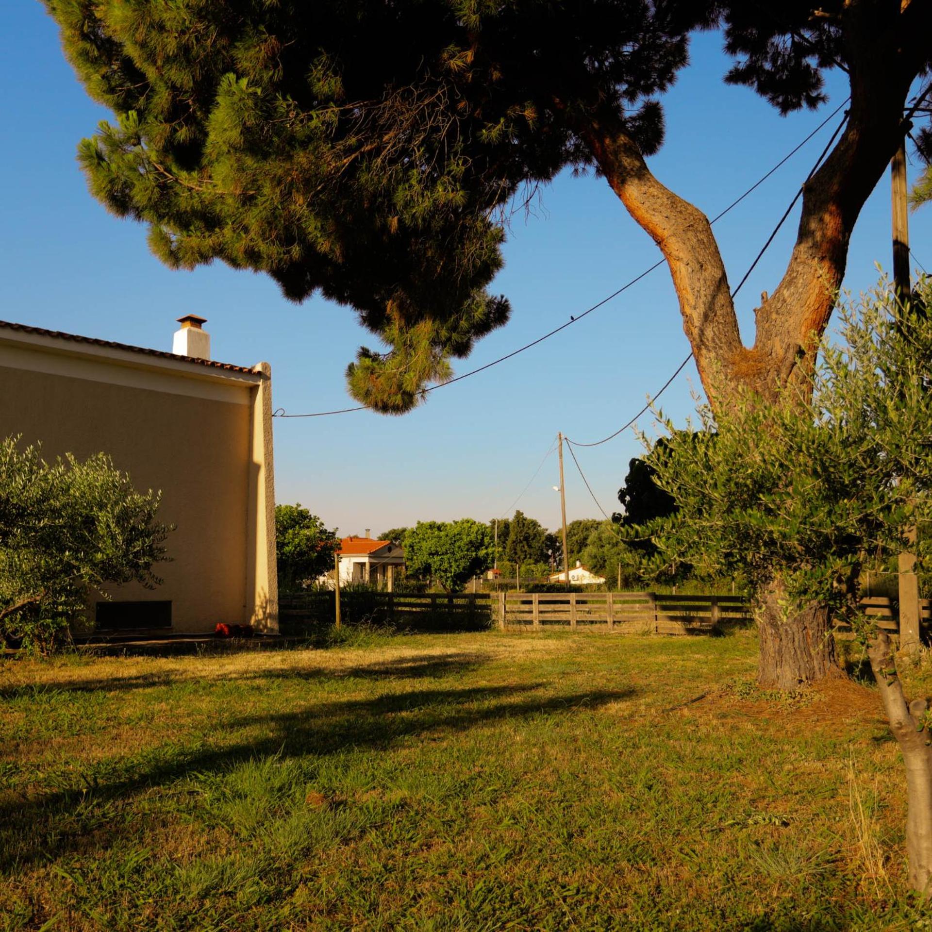 Out of the Green Farmhouse
