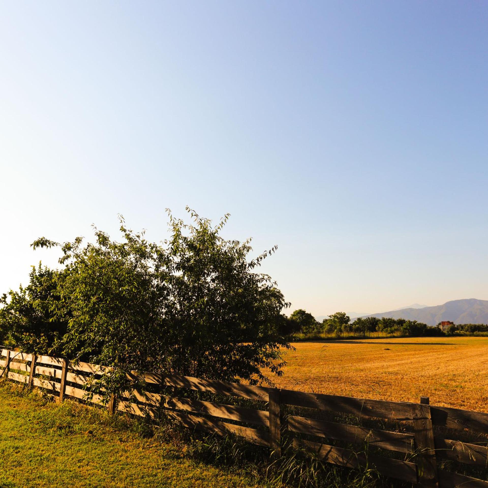 Out of the Green Farmhouse