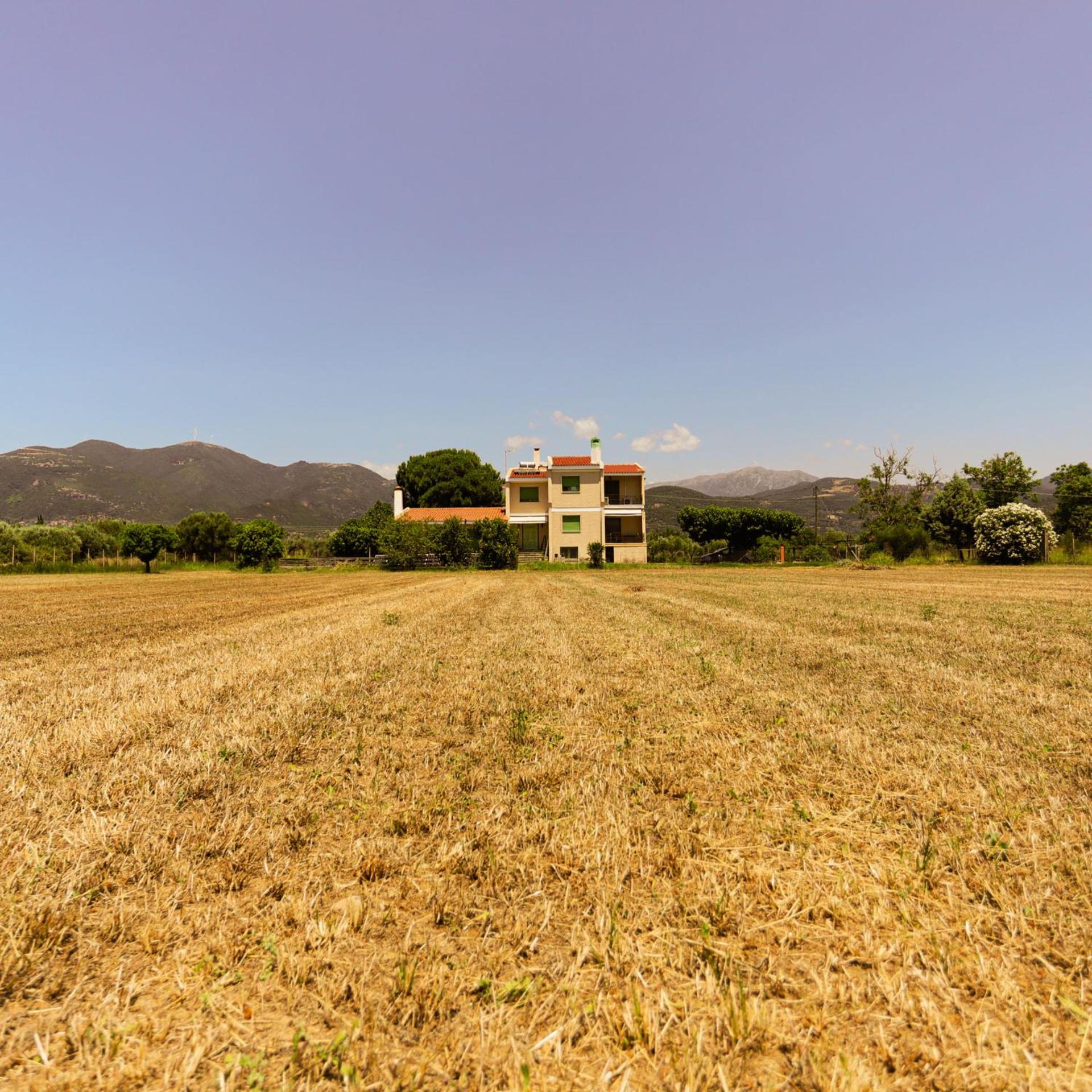 Out of the Green Farmhouse