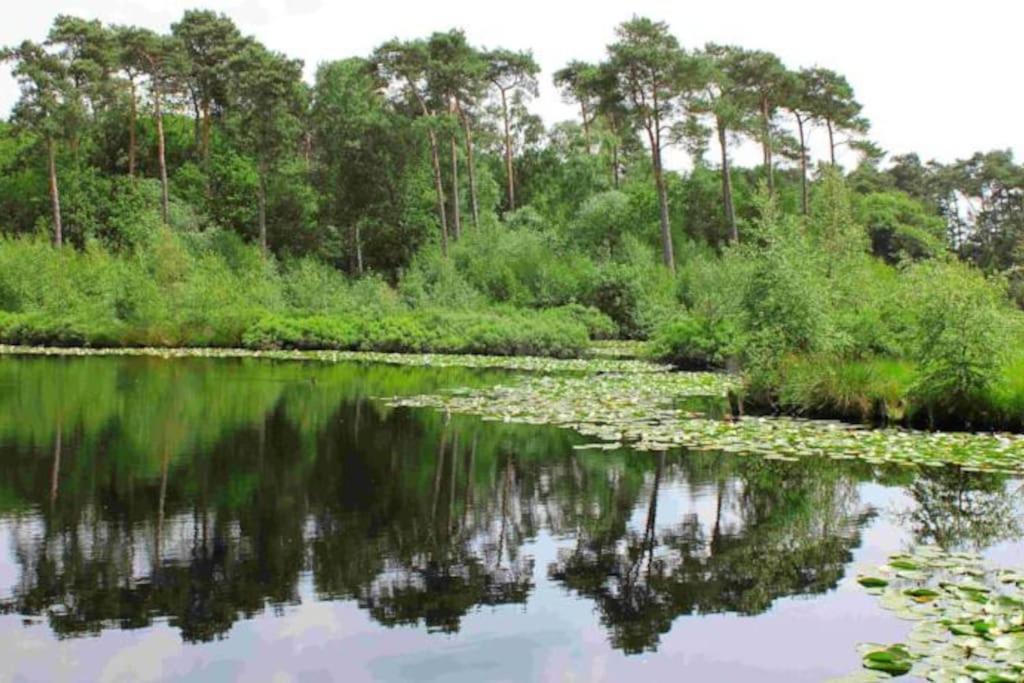 Natuurhuisje Oisterwijk Valkenbosch