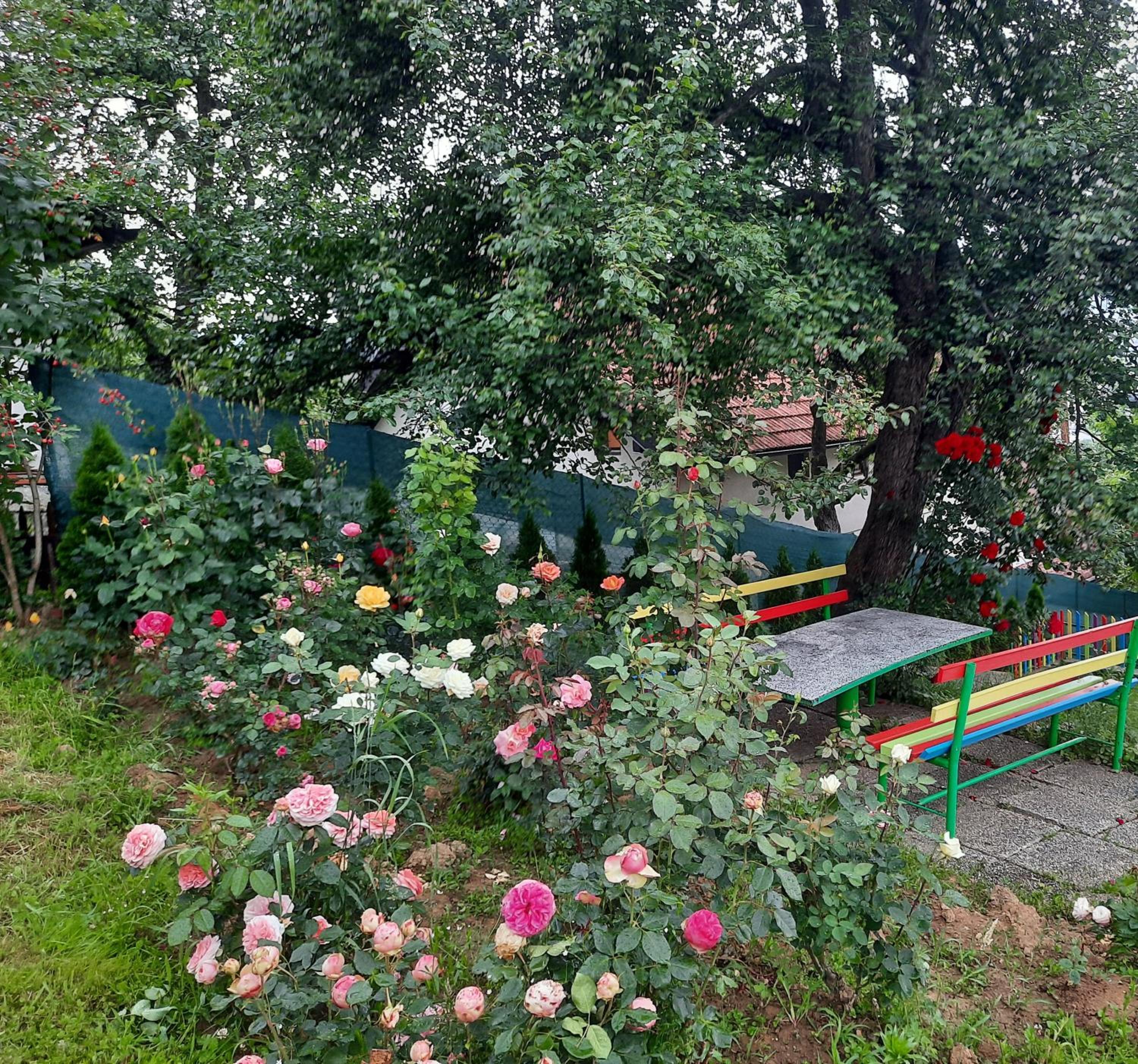 Sarajevo Flower Garden