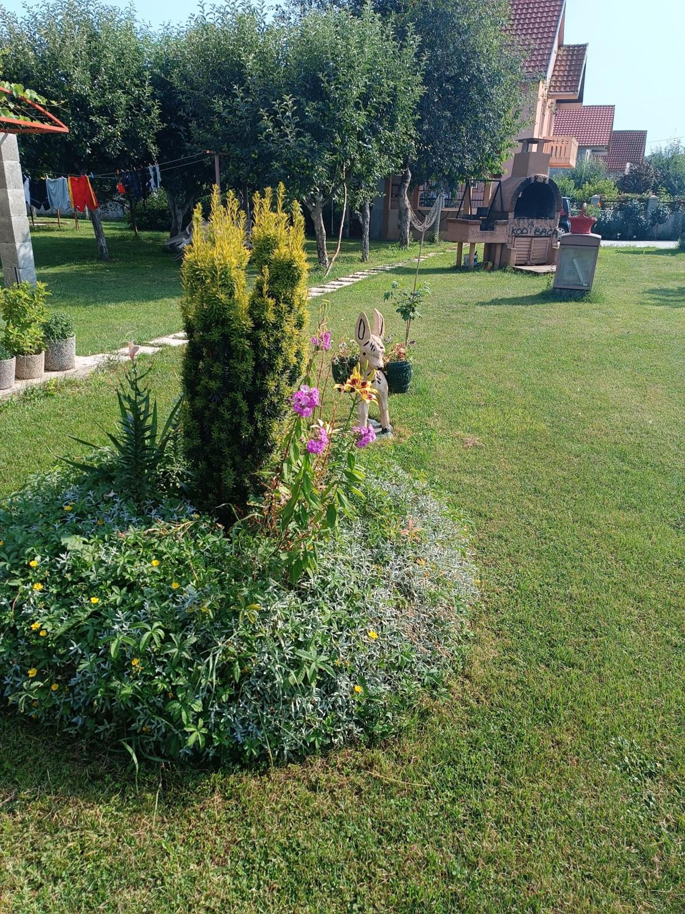 Photo 29