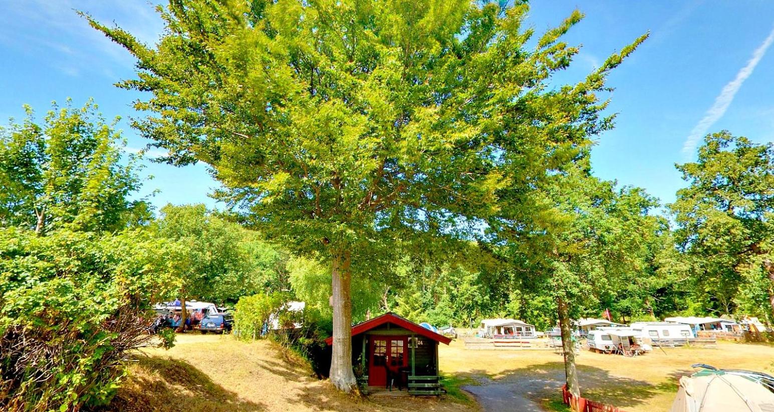 Randbøldal Camping & Cabins