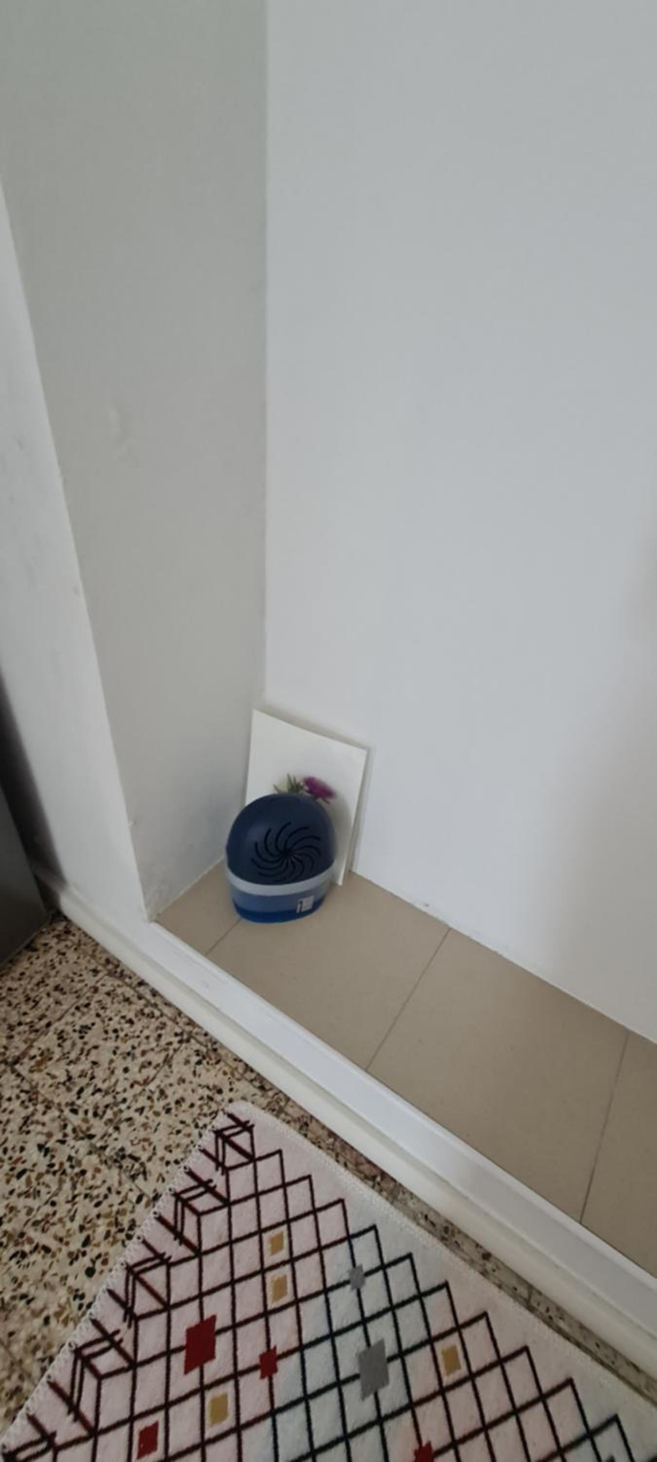 Da Ersilia