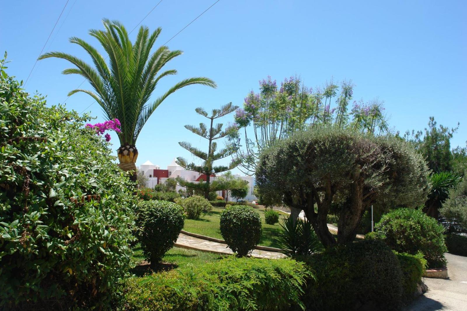 Photo 29