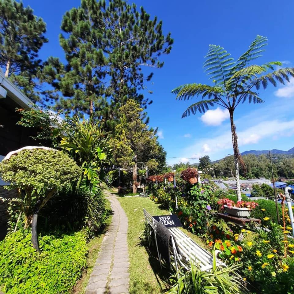 The Backyard Glamping Cameron Highlands