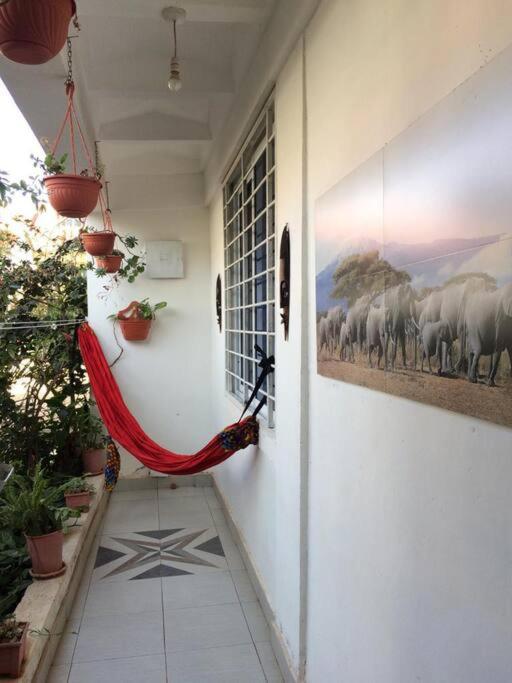 Affordable Studio Nairobi