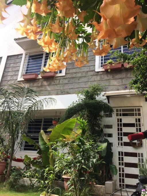 Affordable Studio Nairobi