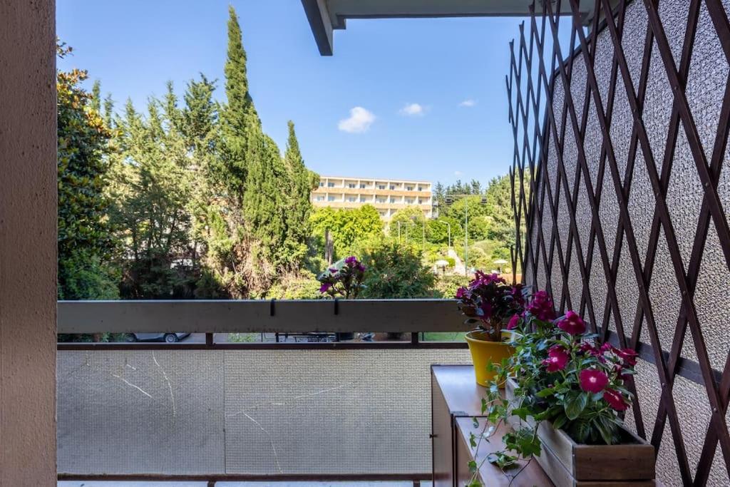 Plaza Cheery Suite