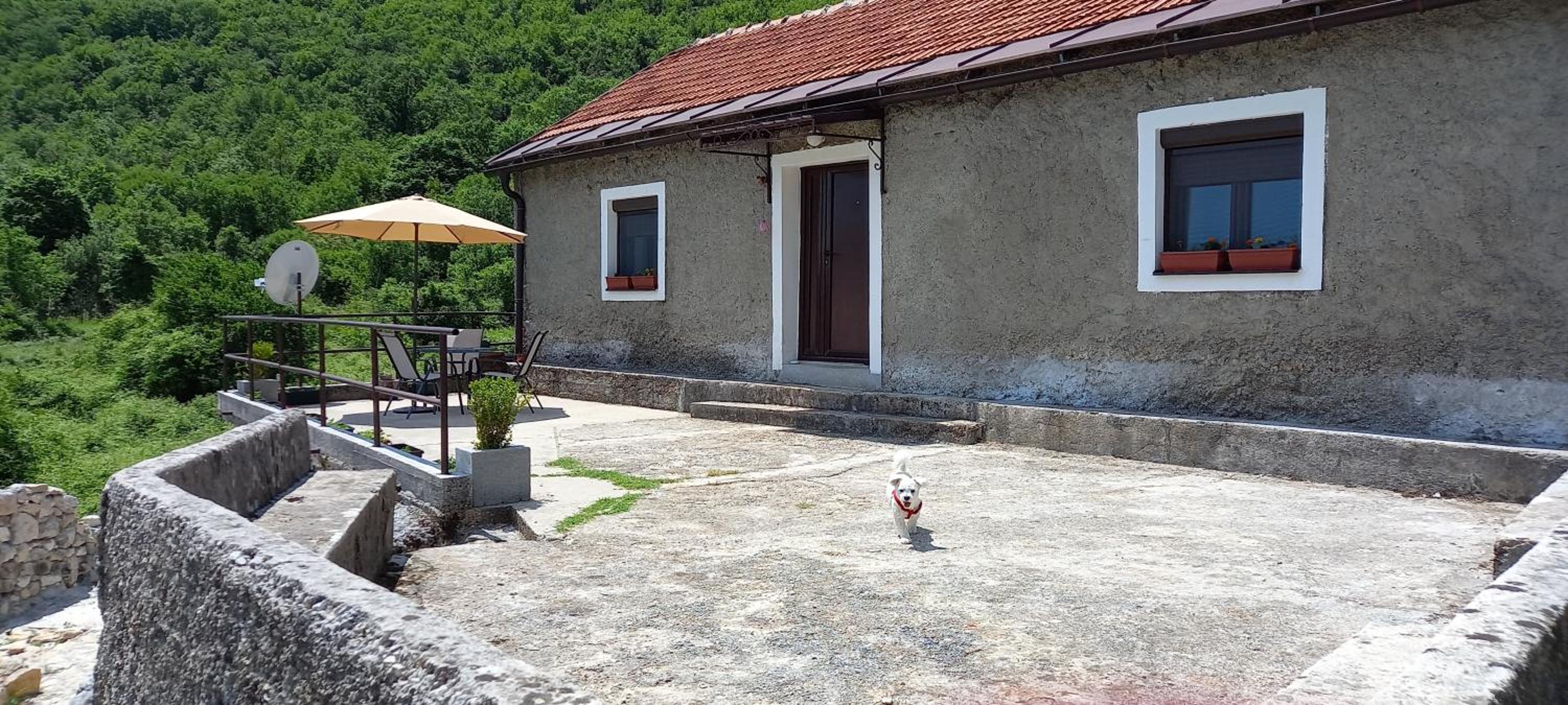 Linden apartment Lipa Cetinje