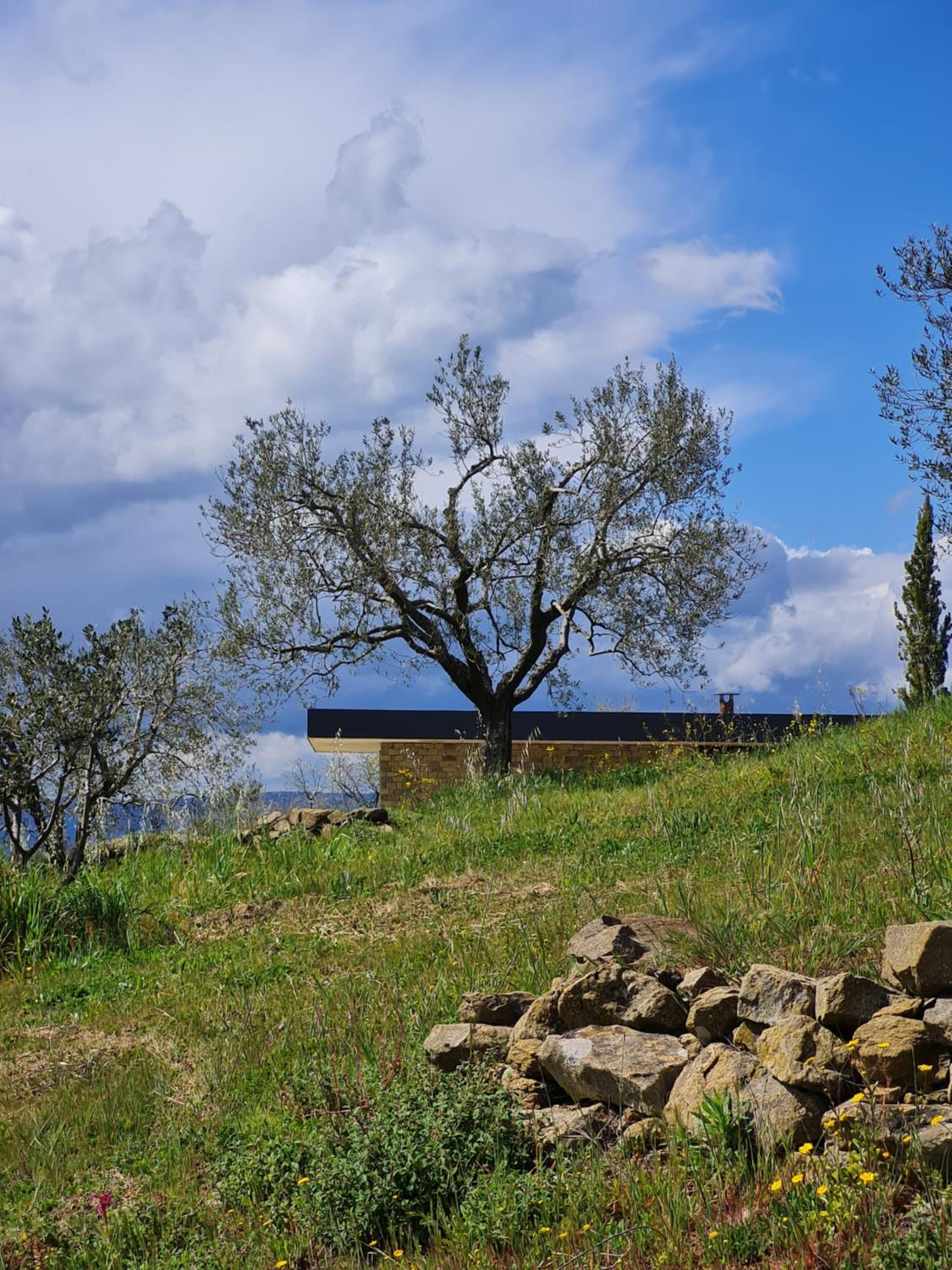 Poggio Cagnano