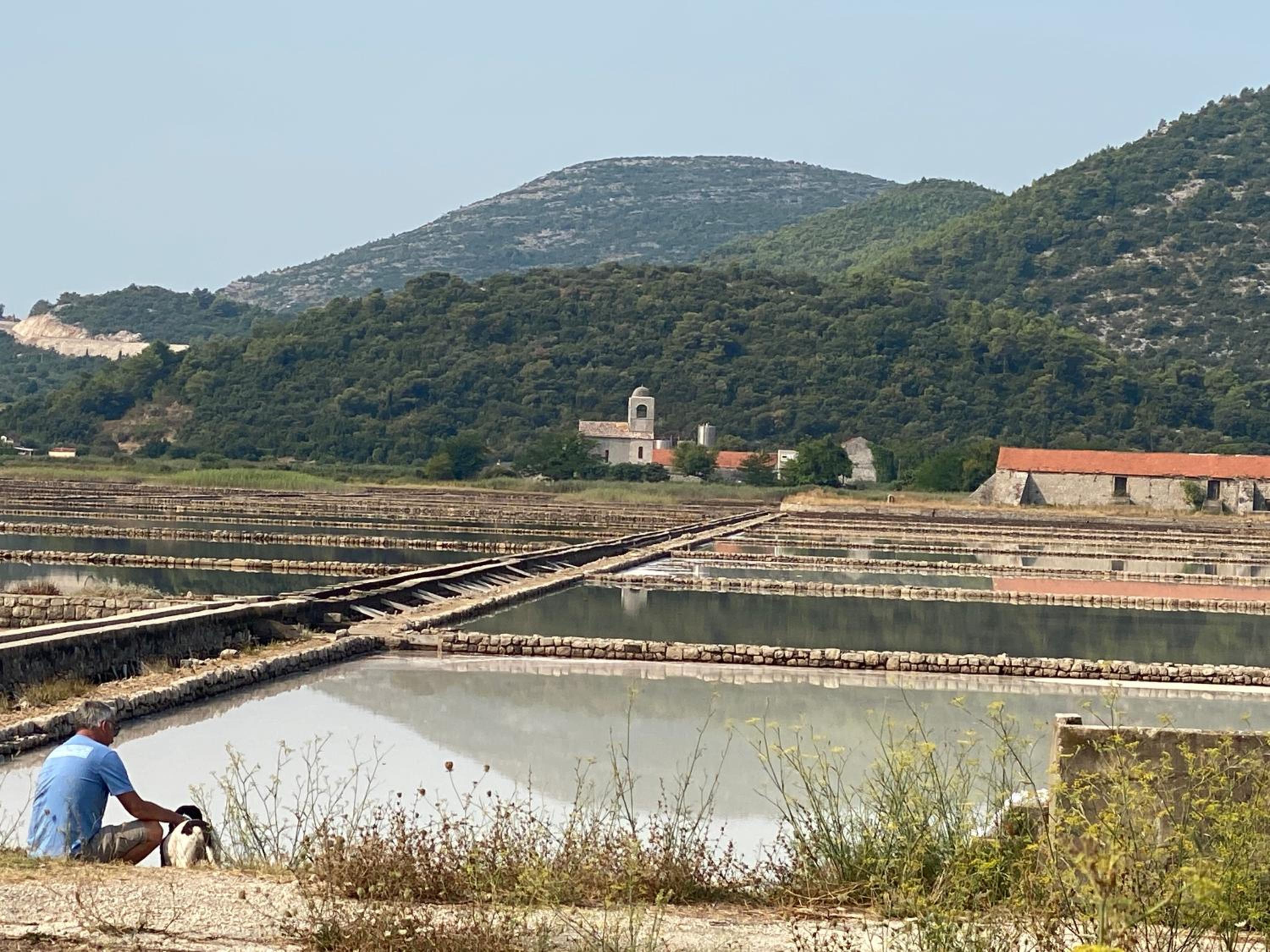 Nespola