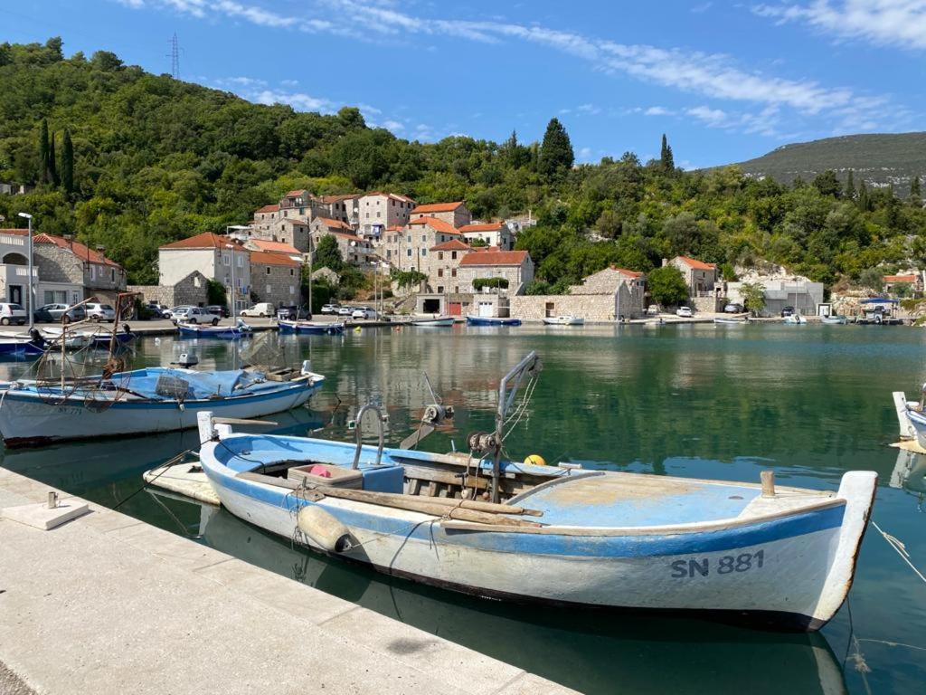 Nespola
