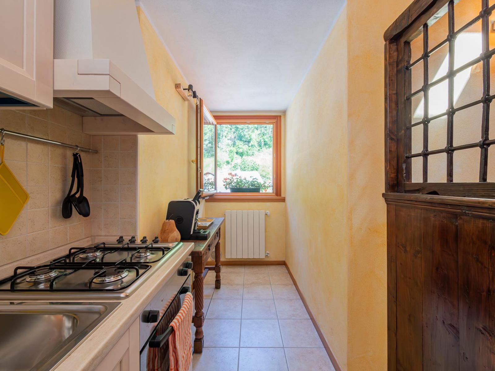 Dosso Aprica Apartment view 2