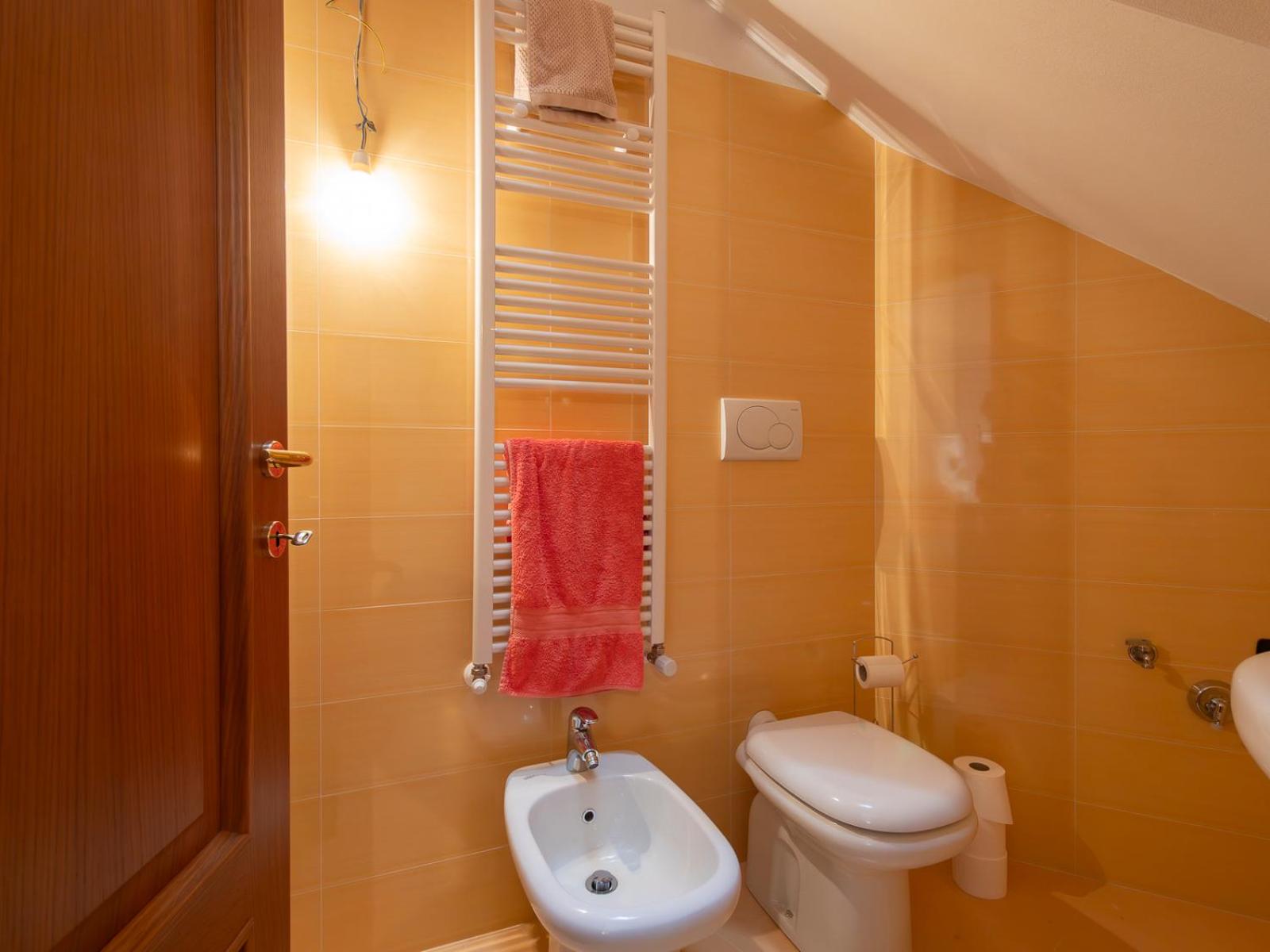 Dosso Aprica Apartment view 4