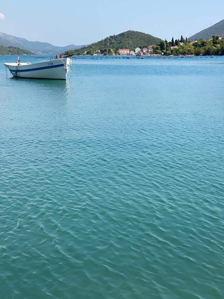 Nespola