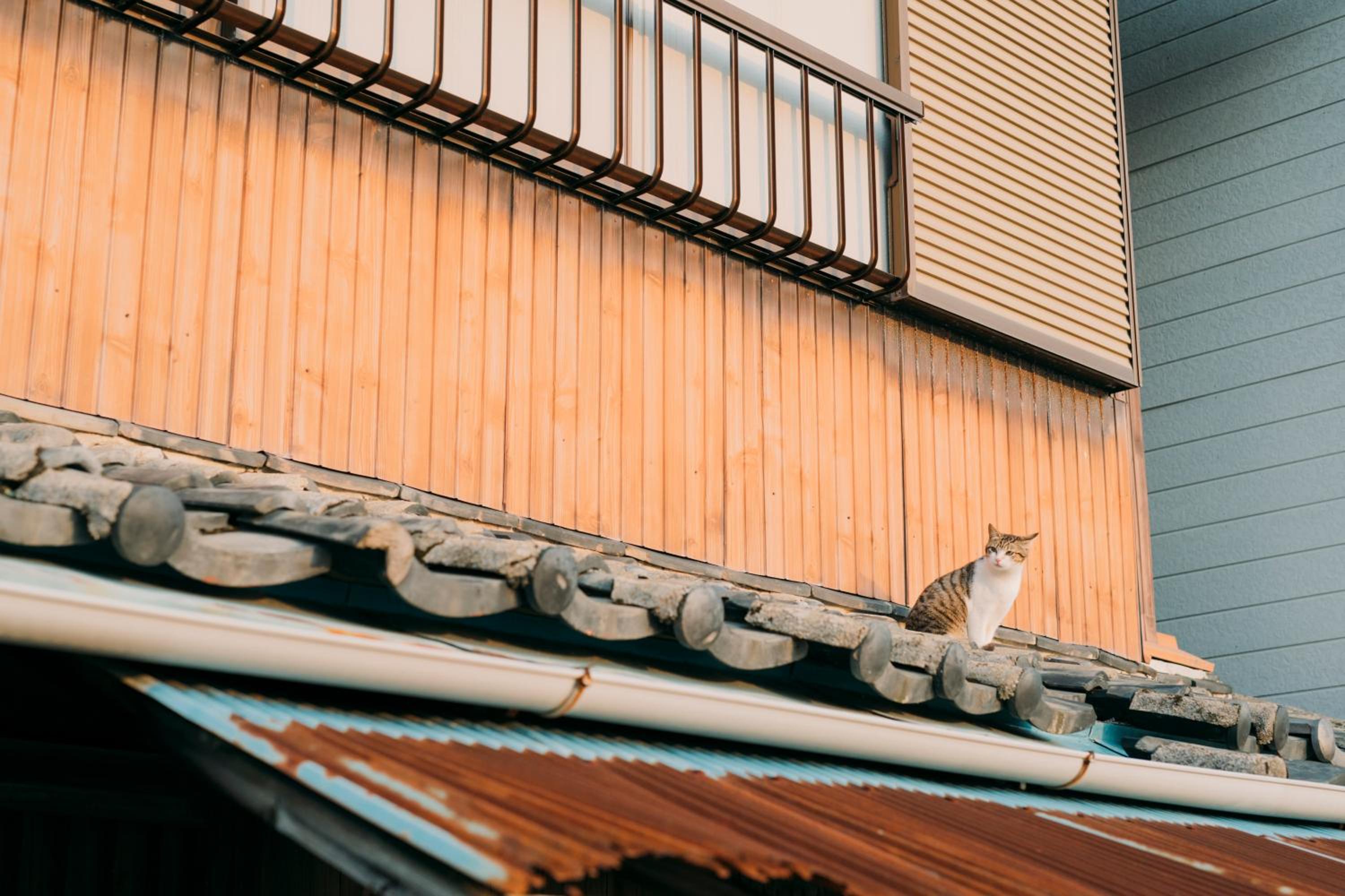 Nagasaki House Burabura