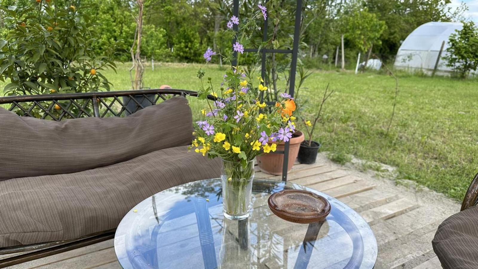Guest rooms KRASI